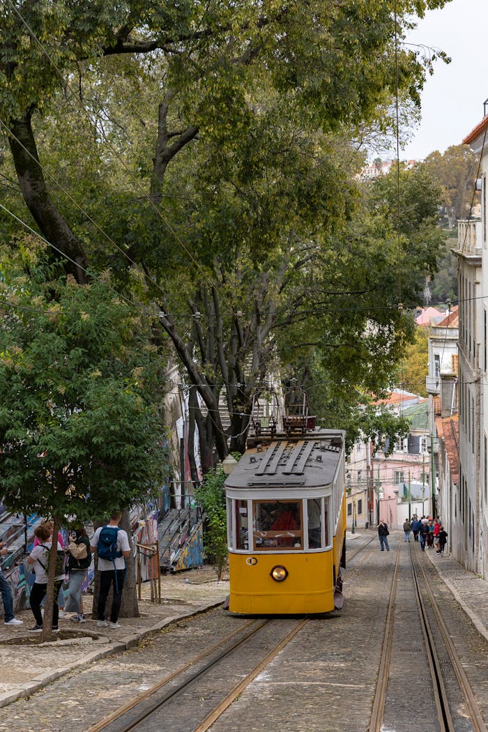 Crafting Captivating Headlines: Your awesome post title goes here Charming yellow tram navigating a scenic hill in Lisbon, Portugal, with lush trees and historic architecture.